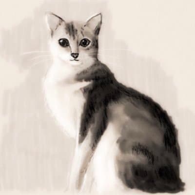 akasa_プロフィール画像